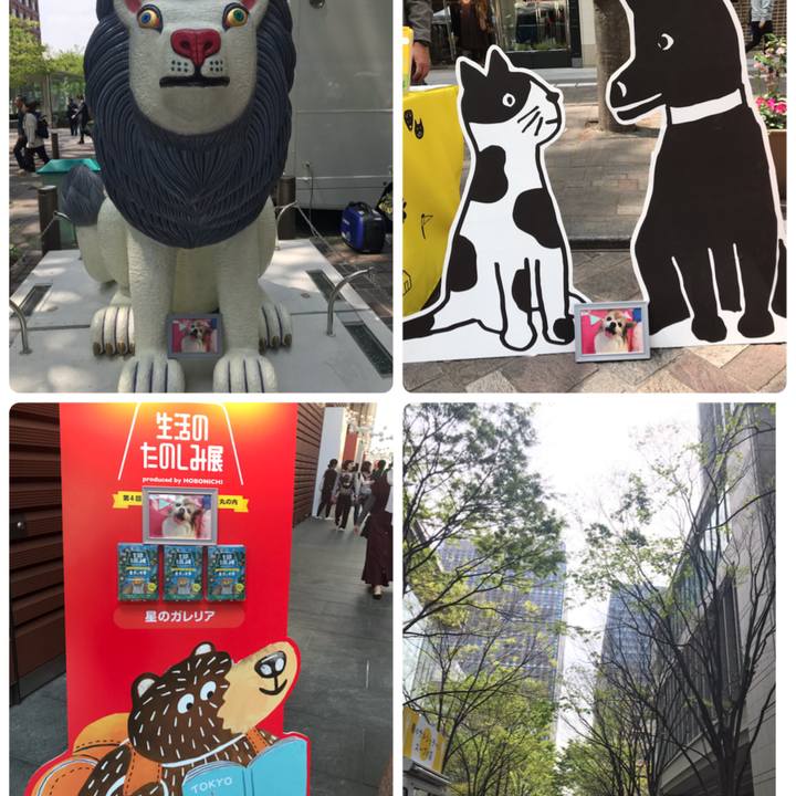 109a37e5 774a 46eb 959b 0580b3d0d5c8 1555673380407