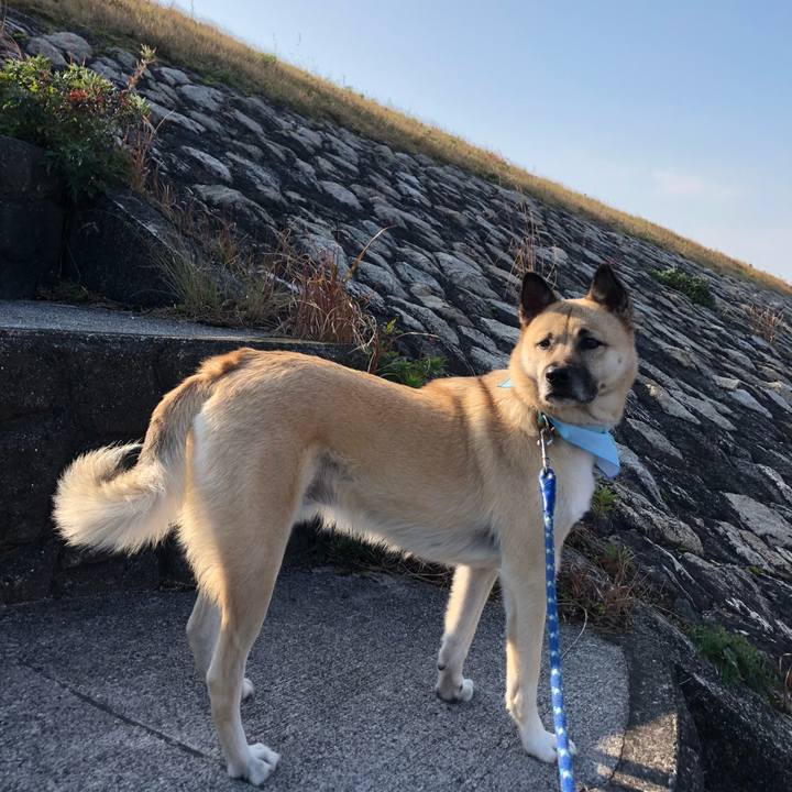 109a6d2e 156a 4d1a af69 7bd270e33b18 1578019743581