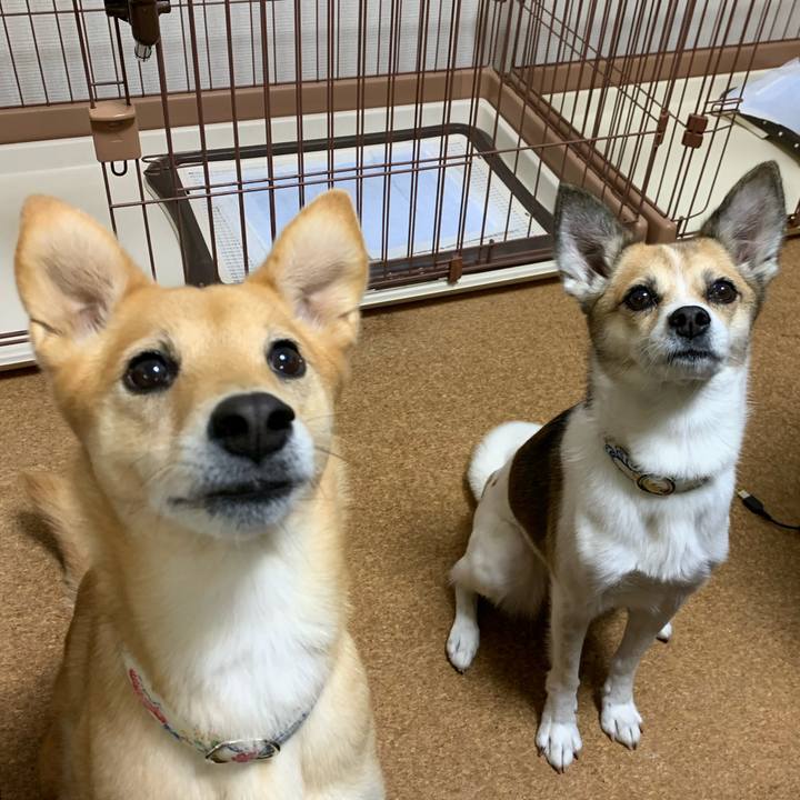 109a87b1 0e45 4646 a544 6013d224fa07 1574946224771