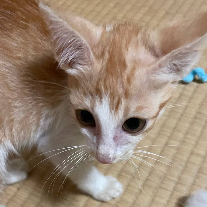 109a9103 e01e 4b08 807f 349607e8affb 1695468852991