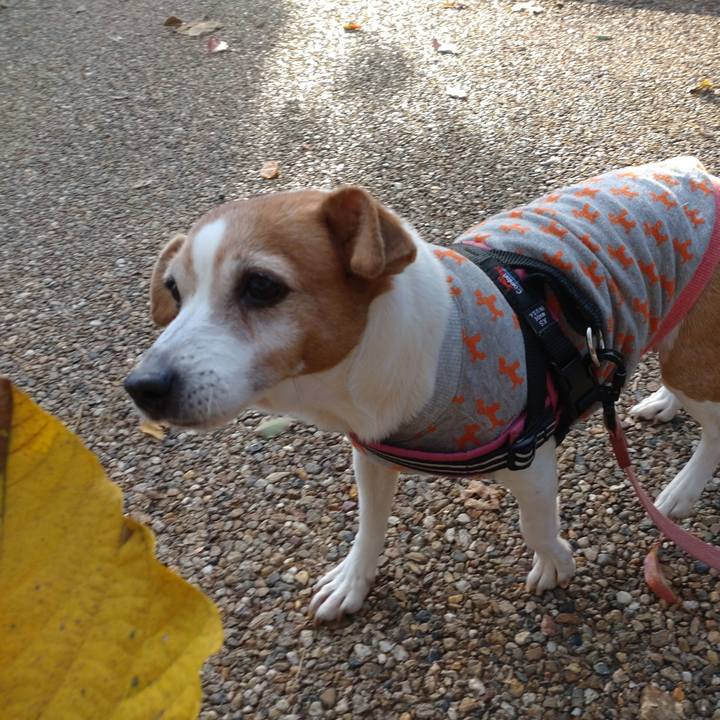 109ac82b cfa1 40d9 9550 d69845a494cb 1762820627027