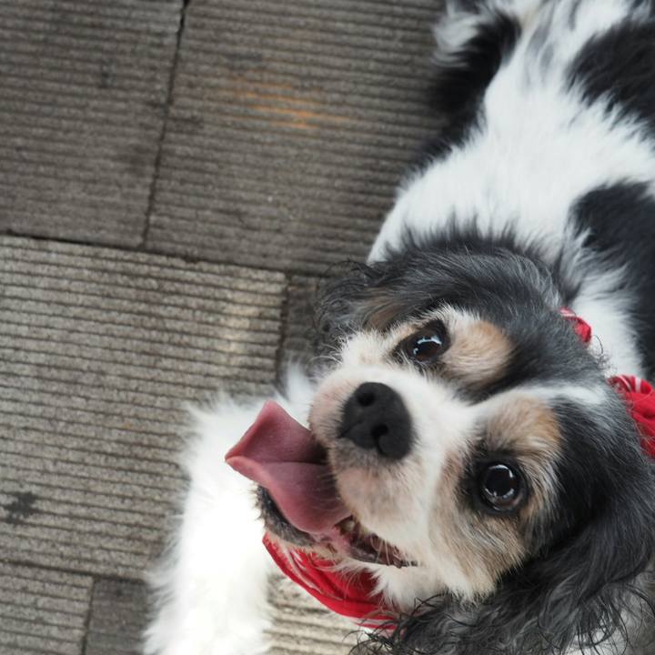 109ae508 585e 43c1 ab69 10c1fc72e185 1535874565901