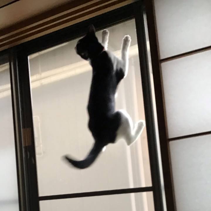 109ae651 5fa1 4cfe a3c7 4df398cd84f1 1629671894047