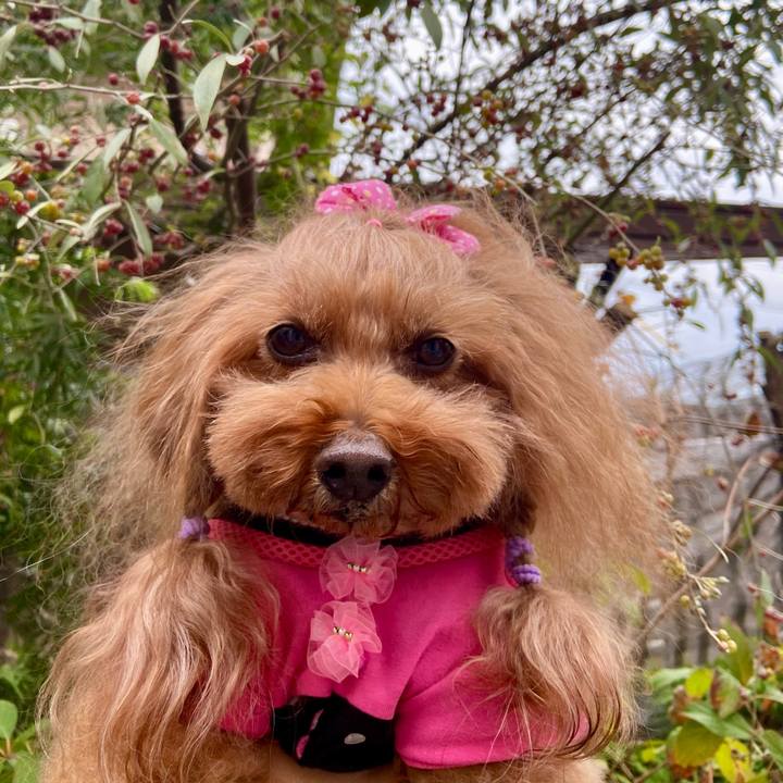 109b1e80 464a 40aa b896 8dc5457b3870 1763000199309