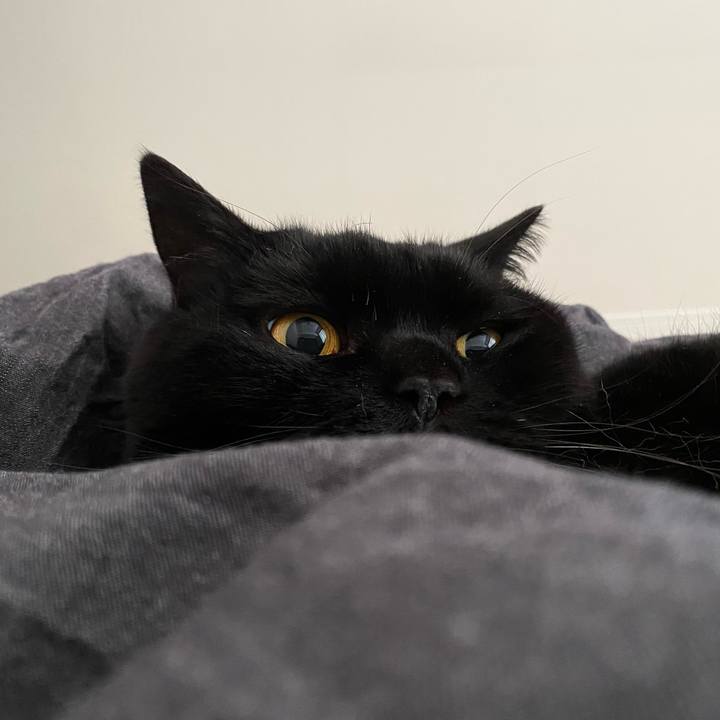 109b34bb 3e56 417b 8f7a 5500dee7213c 1769814388727