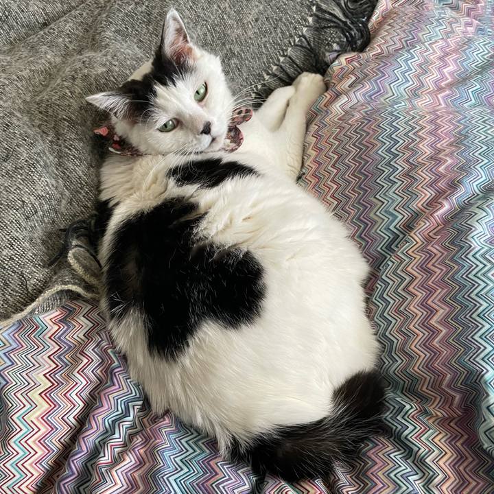 109b5c39 a28c 4e47 9611 e9bd134a76a9 1682983941897