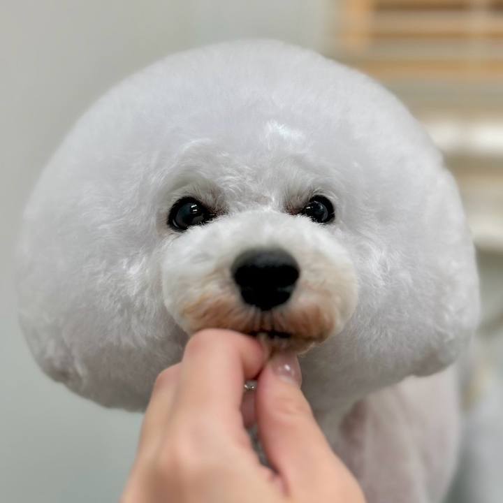 109b7552 bd2b 471e b37a f2380736ff26 1767680166584