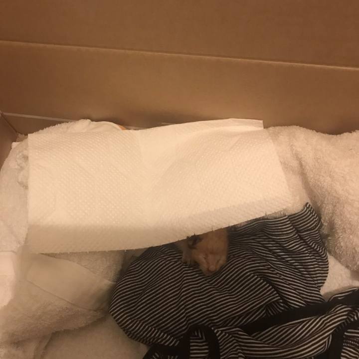 109b8cfa e91f 40ab 9f24 9ebfad0c237b 1663772208345