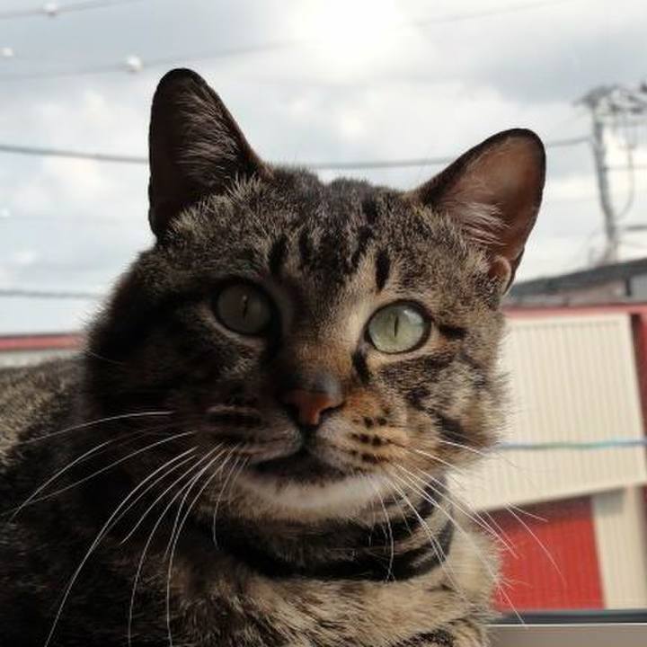 109b9815 c75e 4b2b ad45 1e2e8159e2c9 1581204103591