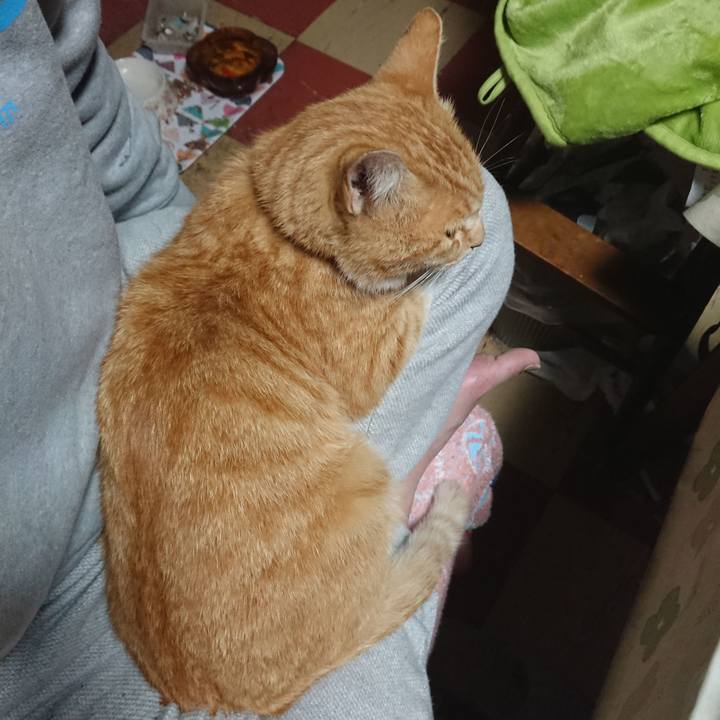 109ba7db ff23 40e9 b45a 1b0096cb438a 1590781937259