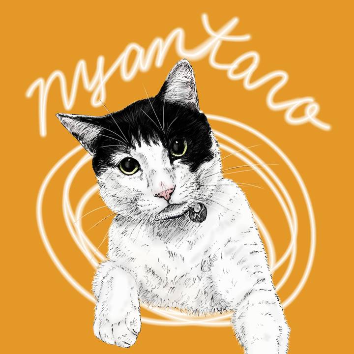 109bba7e 57c2 44e7 9cf9 0e0373f467e5 1608560755557