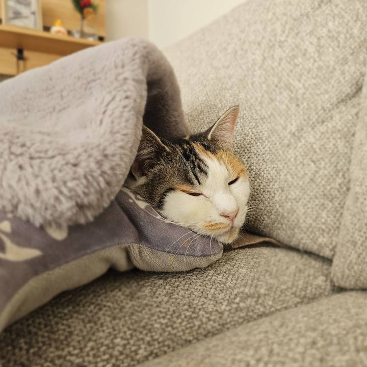 109c0b62 f143 49d4 a681 cfd1d0a1205c 1767325291375