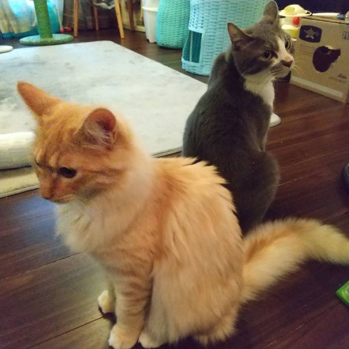 109c10c6 a538 4f0b a9b0 86a7b7ffab19 1622757794093