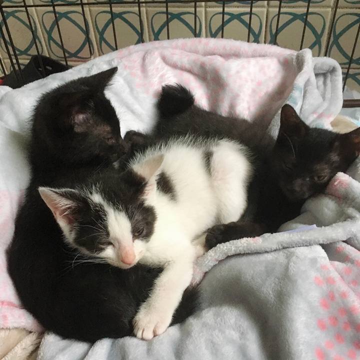 109c3fe2 2ea1 4da3 b475 5e5a8578bec5 1625356804094