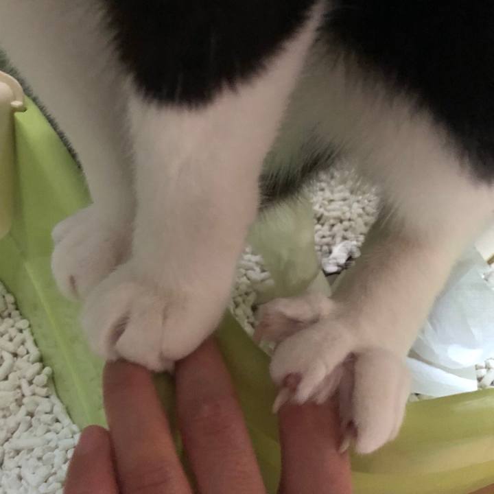 109c5371 bb33 4f7a 9a86 dfb5a369fcf0 1557716382026