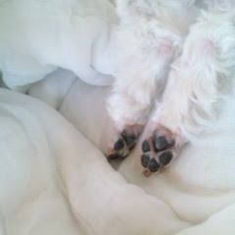 109cf535 95c0 496a b9ee 5ec6331743d6 1529154237359