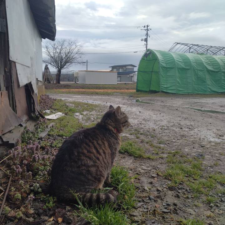 109cf53b 0f30 4b4d a686 50e370afd6c0 1679611401213