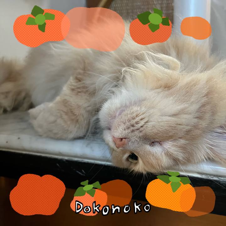 109d528c f060 448e b780 4597df7205e5 1762904146158