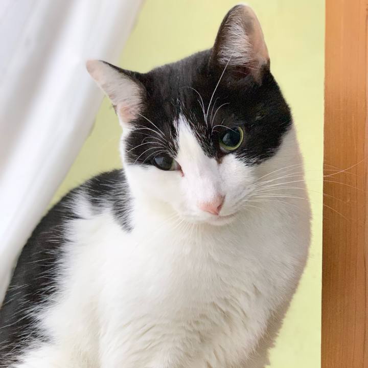 109d73fc f2ac 4f96 812e df898000bef8 1546647793962