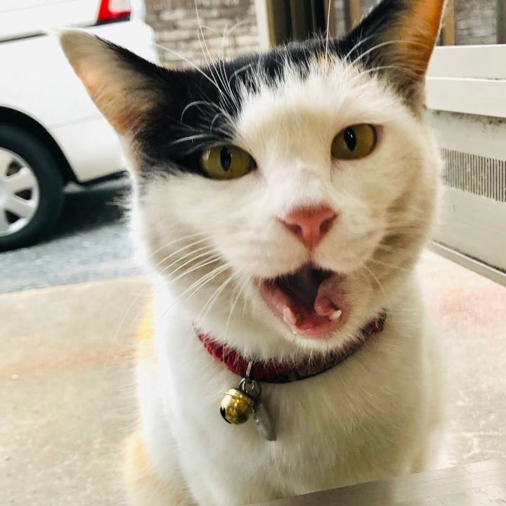 109d93f9 2b49 49c0 be85 7f0221cd823b 1709817892005