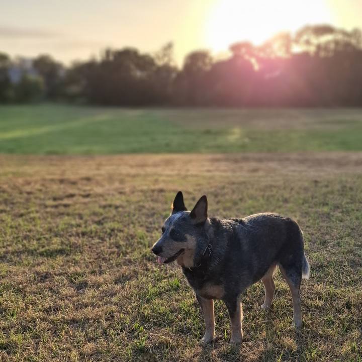 109db7bf 954b 47b3 b105 358fc0970bf2 1766528098740