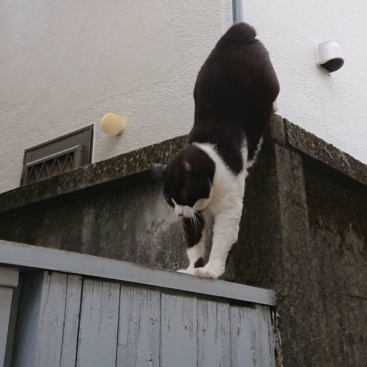 109dca8a 37f6 431f a06a 10db3c9de847 1632555296684