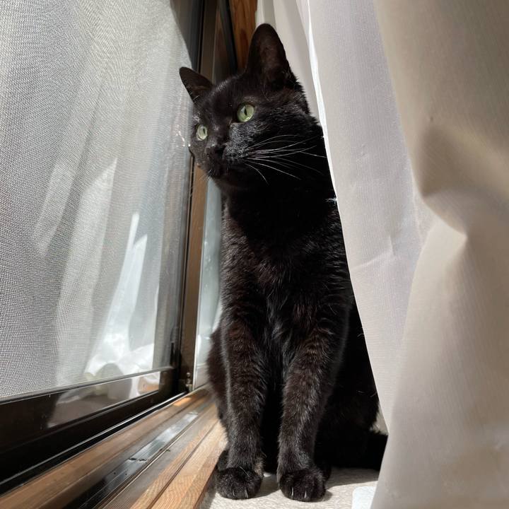 109de30a 8cde 46e0 88c1 bf275cd31158 1650161922942