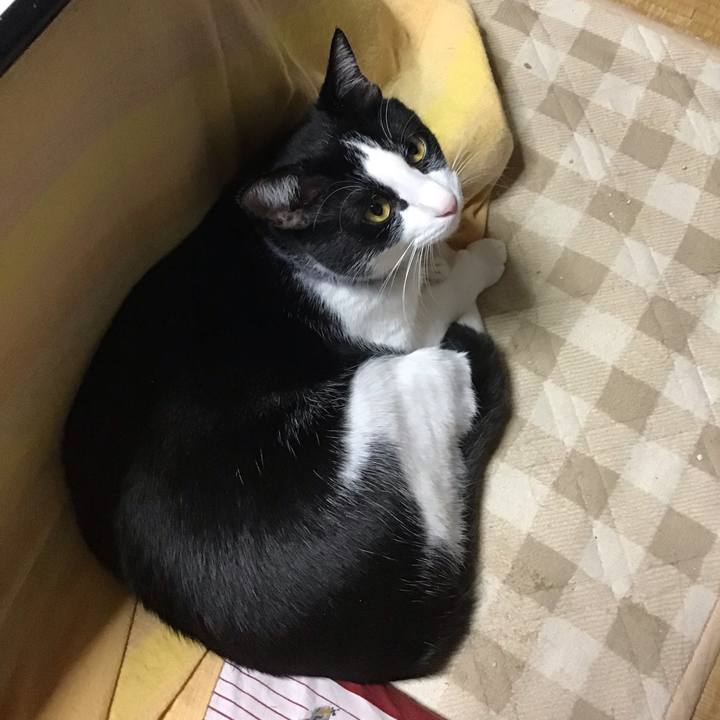 109de356 bad7 4ccf a899 b2cddb51dad6 1671715156630