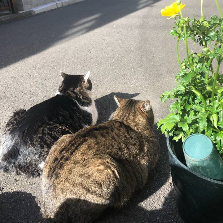 109df704 2328 4e65 bfda fd23223b2828 1548569457348