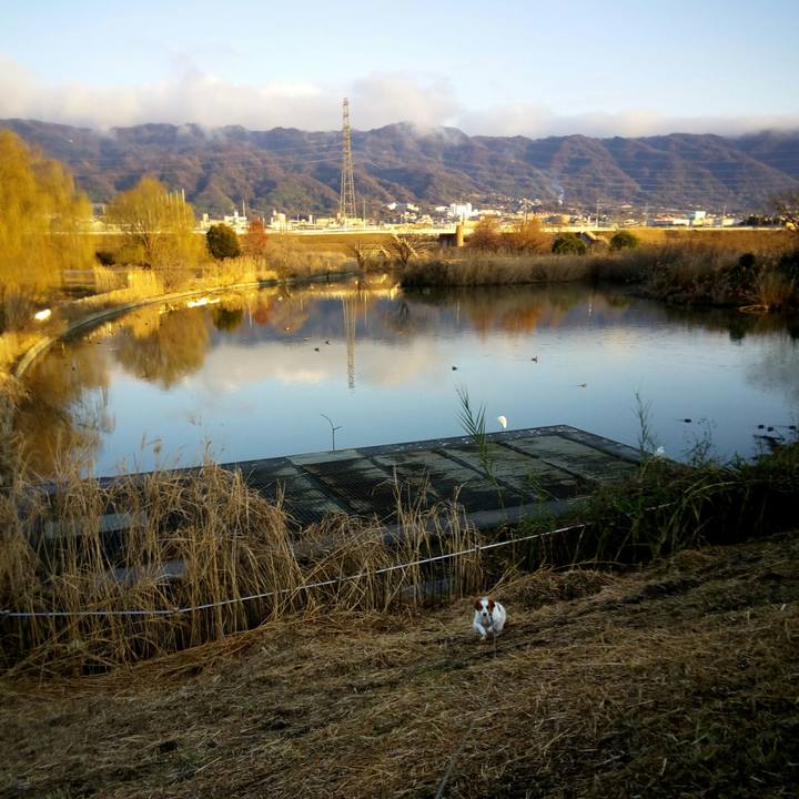 109e0b3d 4671 4384 9591 e83a6e3eba38 1515152175942