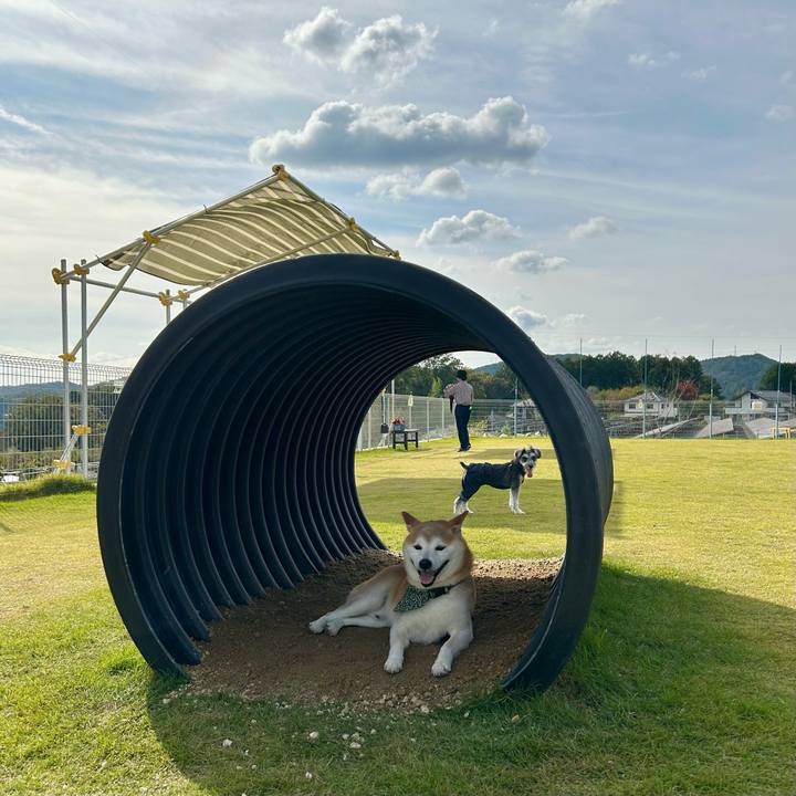 109e2c5a b3d2 4e87 89d5 8f5588a3e92d 1729847600923