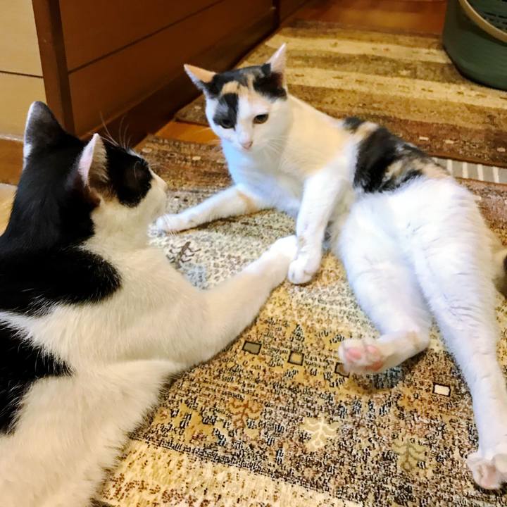 109e57a2 bb26 484e 995a c436d4b8a1b0 1508129588002