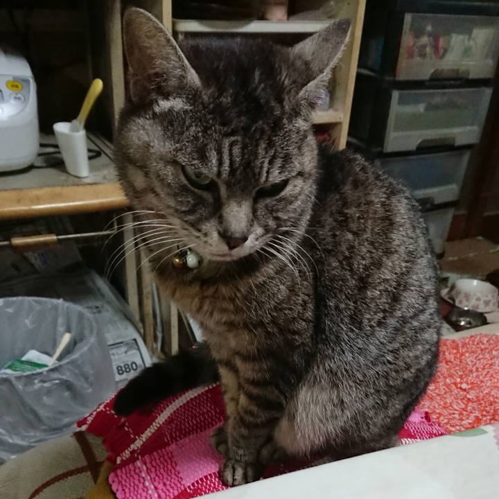 109e8e91 f10f 4ed6 bd8c 6e82e6450127 1552036795948