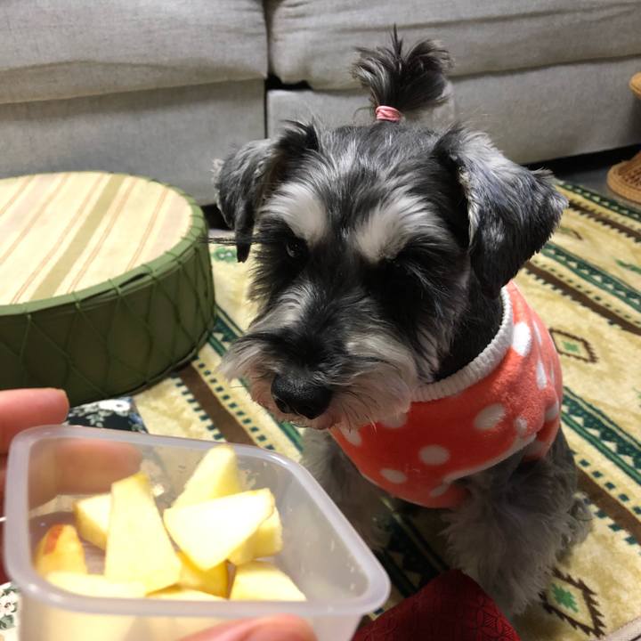 109ed1d5 cad7 4f78 ad91 da0104631833 1641036494951