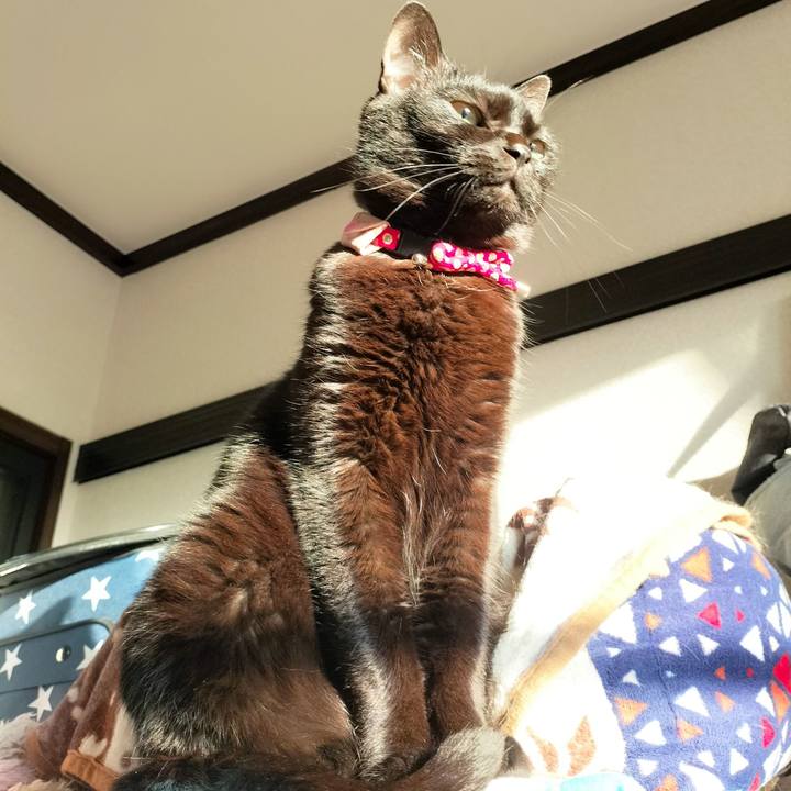 109f191e 64ea 4991 8404 42e5aedc2fc4 1675809230777