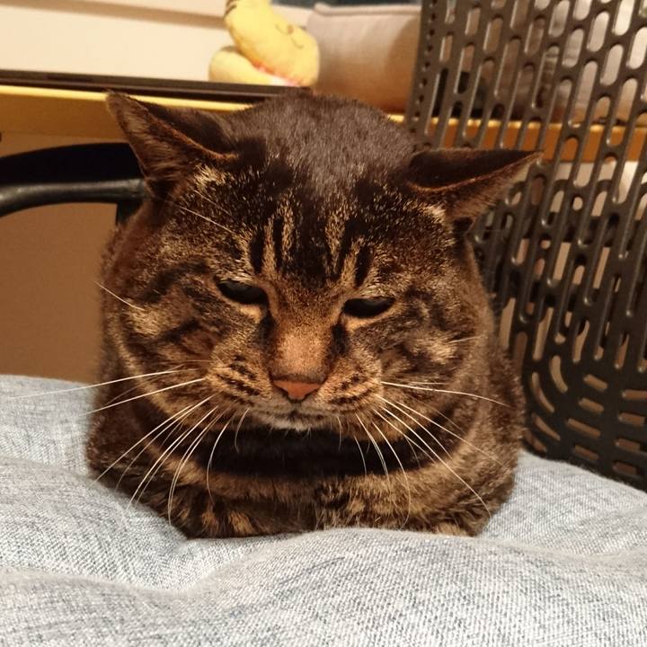 109f3ced 6f84 45ba 9595 c0eca13662e3 1543911116901