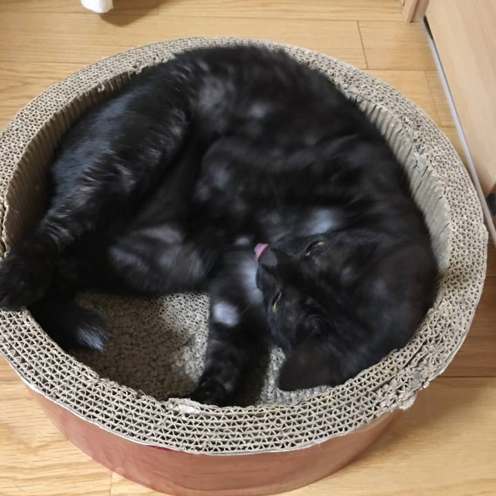 109f51bd 28e3 4e7a afaf a080630ce877 1536242161445