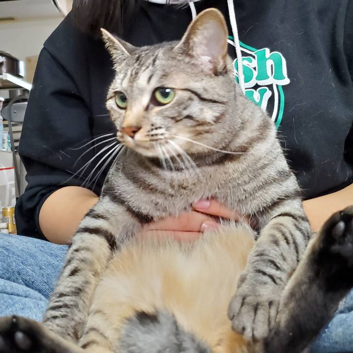 10a00d3d 1cf8 4f74 9261 a099dc95dbc2 1713853326957