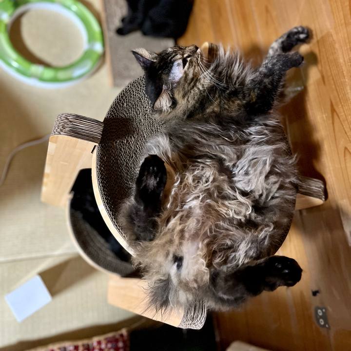 10a017bc 311d 415d 9b02 a01388e8b647 1691324232321