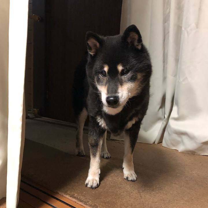 10a04769 05e4 417d b92a cea274d1769c 1580971363782