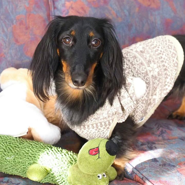 10a06cfb 77c6 4961 8037 386535960b8f 1513907111991