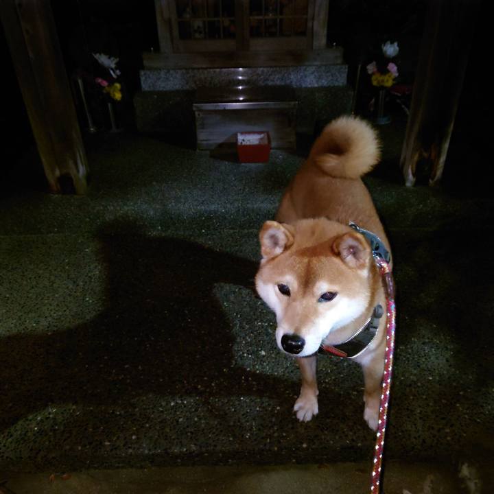 10a0973b a714 471d a463 5f20f2385725 1766281536240