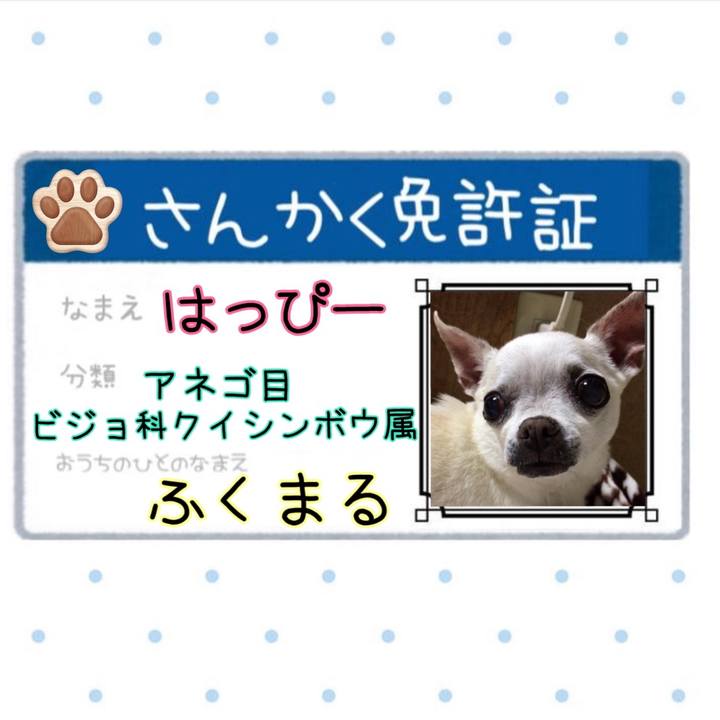 10a0a17b fc95 4333 84bb 024e1ac91a6c 1659822130539