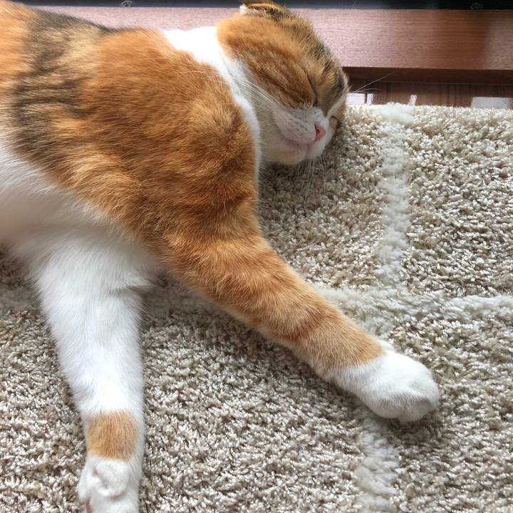 10a0be3e 6fcd 45f6 8eec 92d832a8d88c 1533968433438