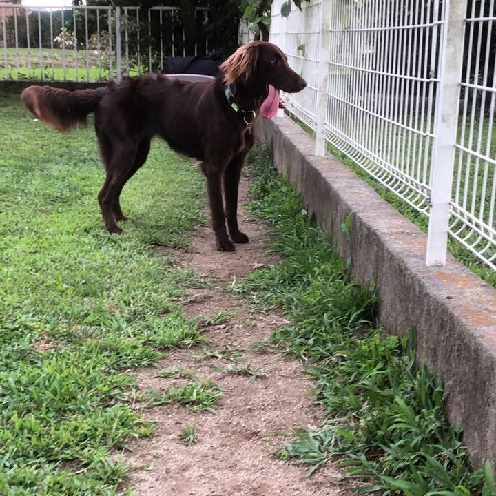 10a0d3c2 541e 4c30 bcca 6acef55d9626 1592648096018