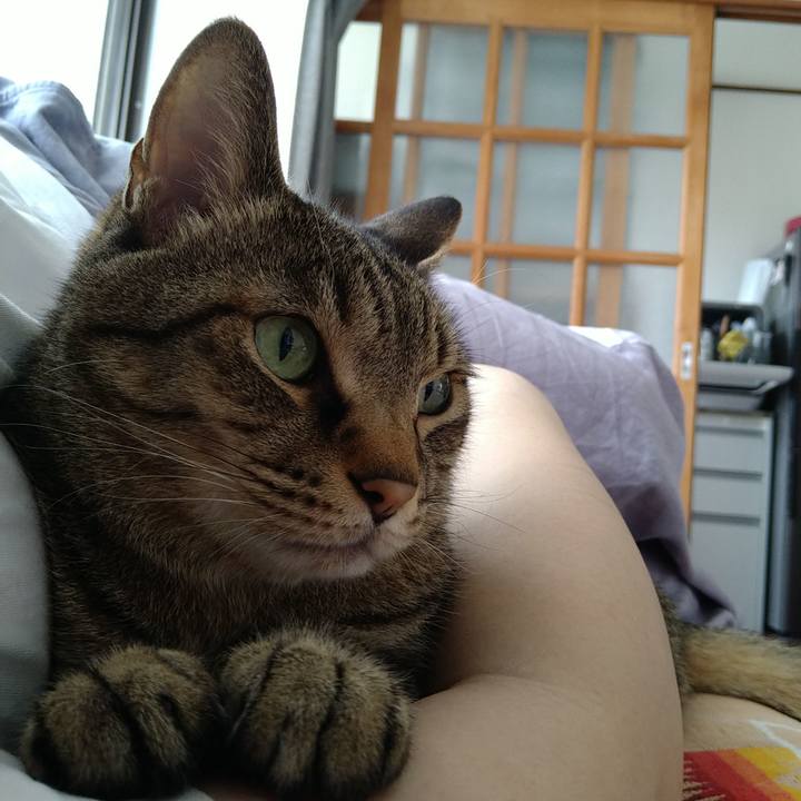 10a0de05 e37d 46d4 9e21 fd52e043e2a4 1717200669105