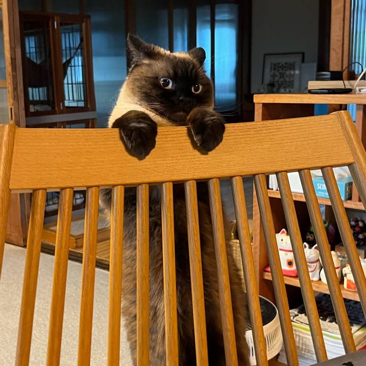 10a0e1ce 50d7 464b ba22 827ea5cb8e55 1719227747902