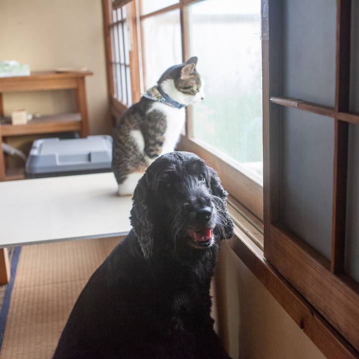 10a0eb40 236f 4c62 8067 01839023185a 1572446979978