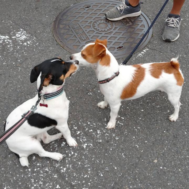 10a0f4d1 a989 403d b7a1 c453a5e75d66 1562665442119