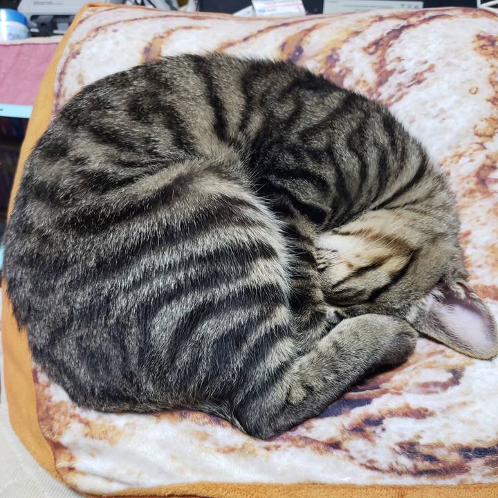 10a0f8b0 0469 4eeb 8f6c f29849fcf248 1542711614882